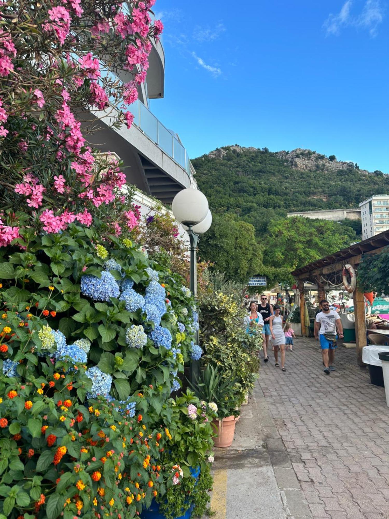 Apartmani Jedro Rafailovici Exteriör bild